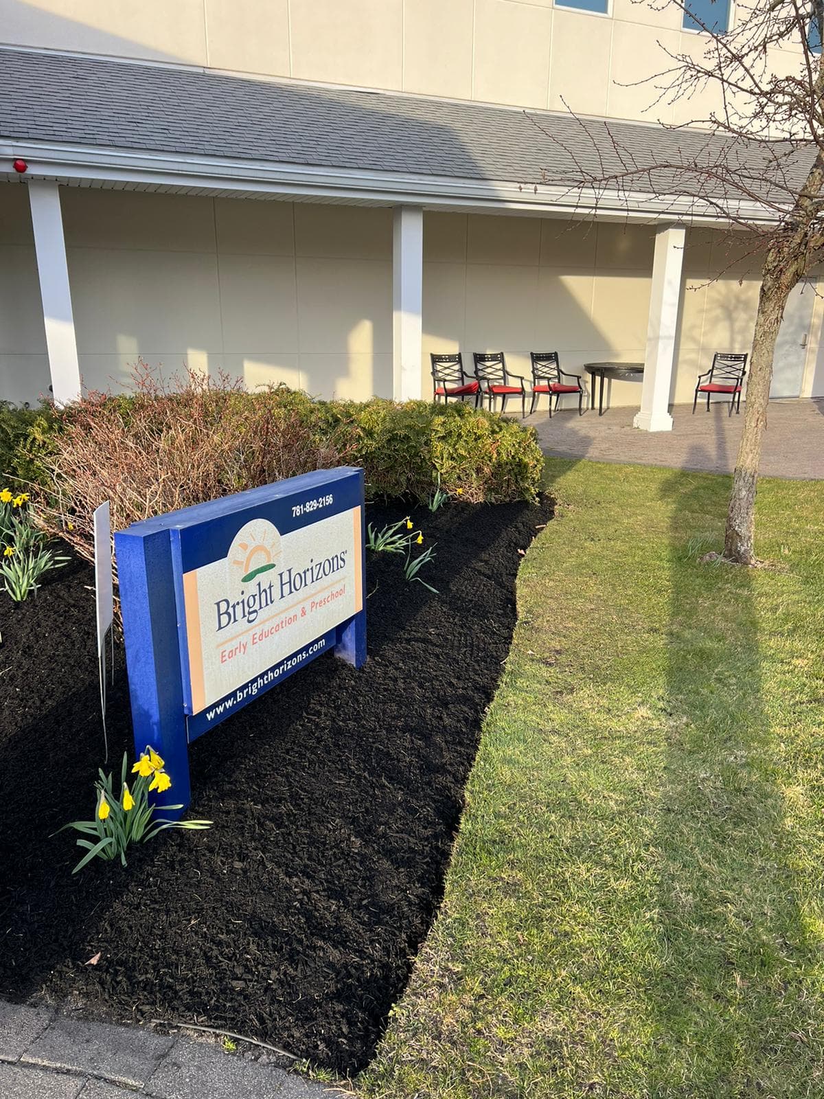 Weed control and fertilizing service in Massachusetts — lush green healthy lawn maintained by Limi Landscaping