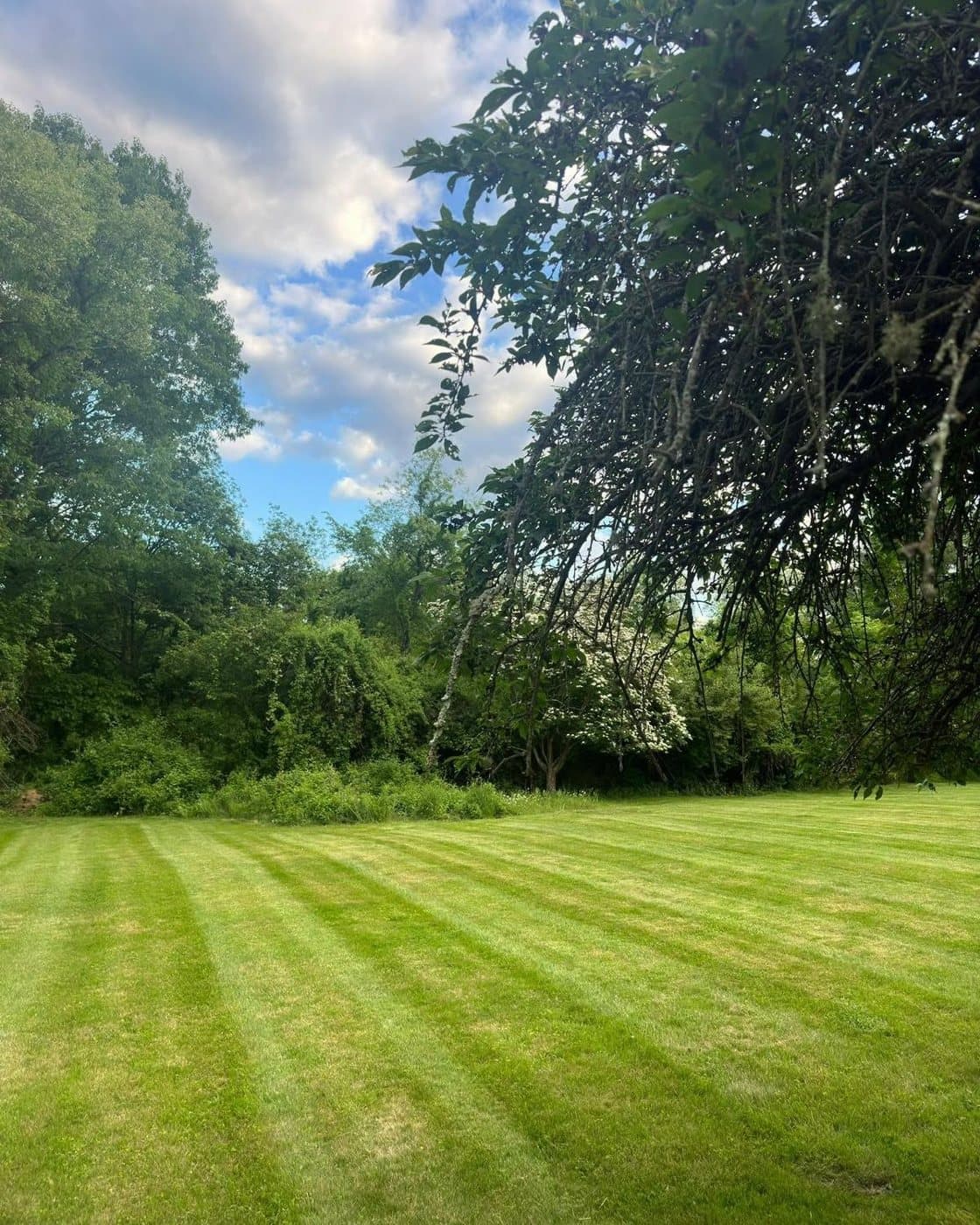 Weekly & Bi-Weekly Mowing by Limi Landscaping in Massachusetts — real job photo 2